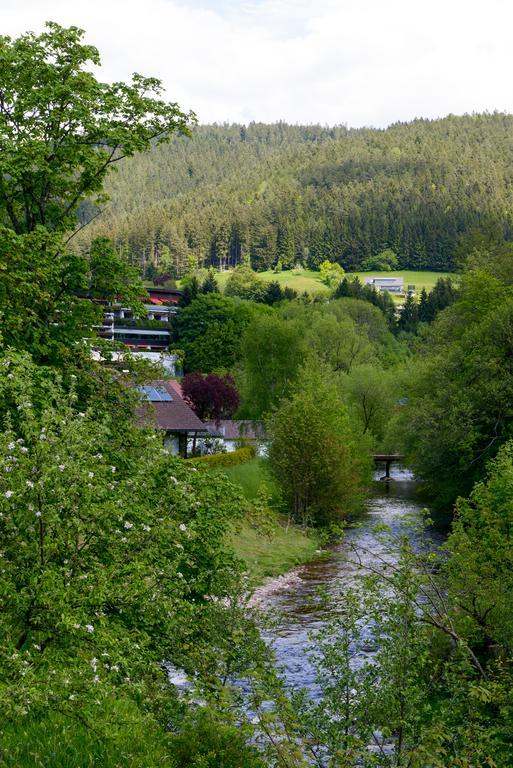 Im Tannengrund Pension Baiersbronn Exterior photo